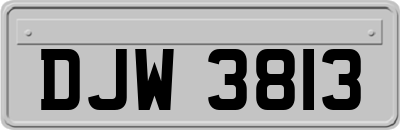 DJW3813