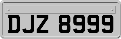 DJZ8999