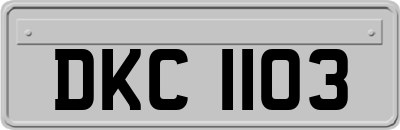 DKC1103