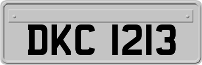 DKC1213