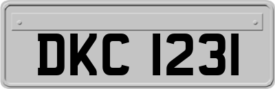 DKC1231