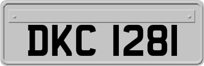 DKC1281