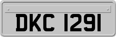 DKC1291