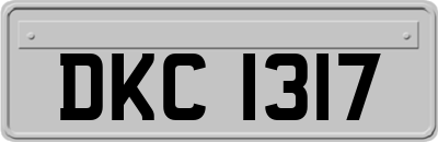 DKC1317