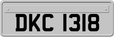 DKC1318