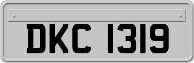 DKC1319