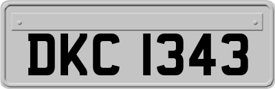DKC1343