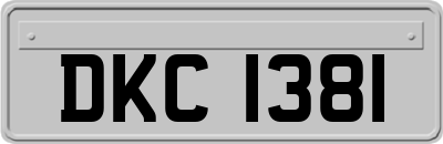 DKC1381