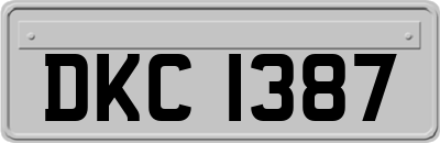 DKC1387