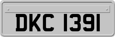 DKC1391