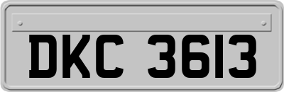 DKC3613