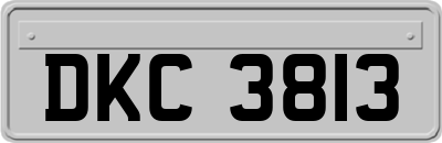 DKC3813