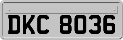 DKC8036