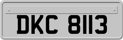 DKC8113