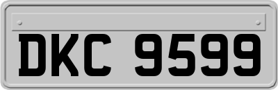 DKC9599