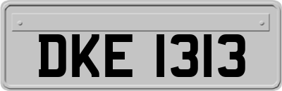 DKE1313
