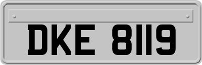 DKE8119