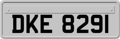 DKE8291