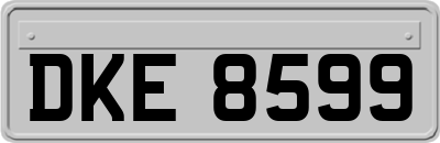 DKE8599