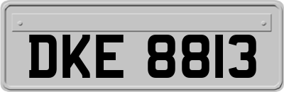 DKE8813