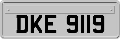 DKE9119