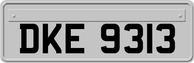 DKE9313