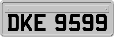 DKE9599