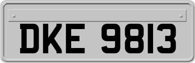 DKE9813