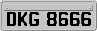 DKG8666