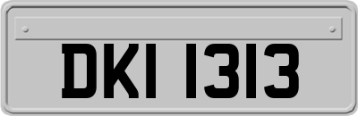 DKI1313