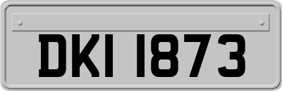 DKI1873