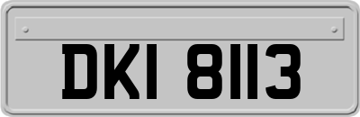 DKI8113