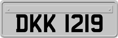 DKK1219