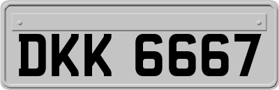 DKK6667