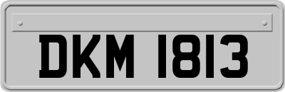 DKM1813