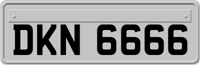 DKN6666