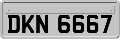 DKN6667