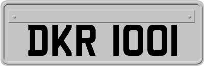 DKR1001