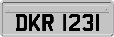 DKR1231