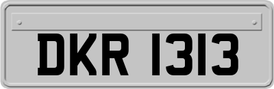 DKR1313