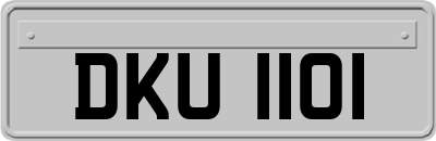 DKU1101