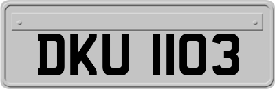 DKU1103
