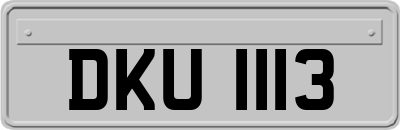 DKU1113