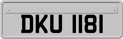 DKU1181