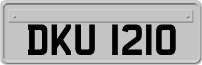 DKU1210