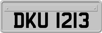 DKU1213