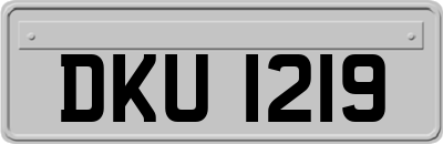 DKU1219