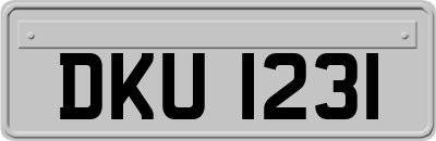 DKU1231