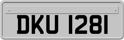 DKU1281
