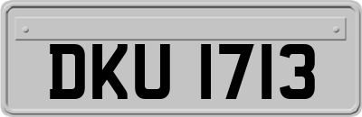 DKU1713